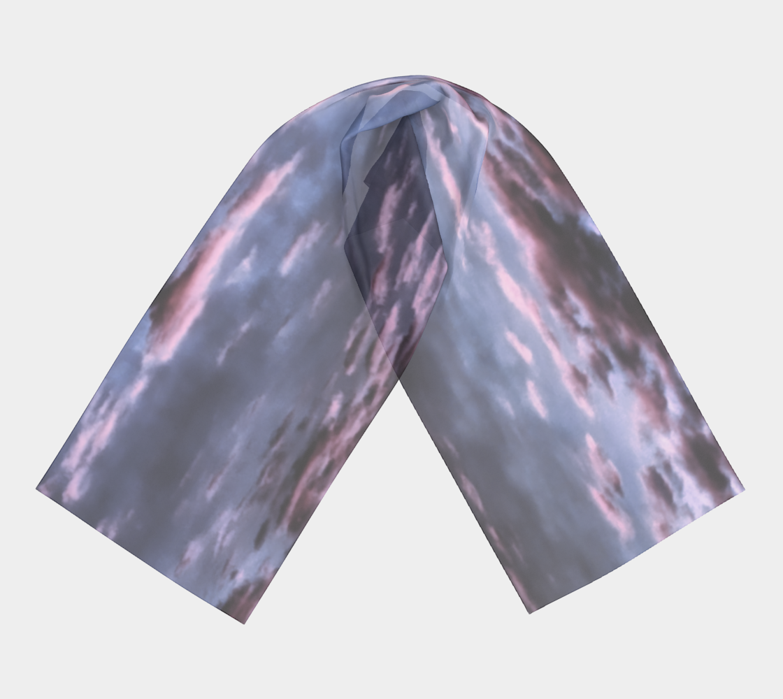 HR01313