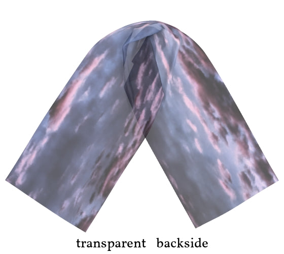 HR01317