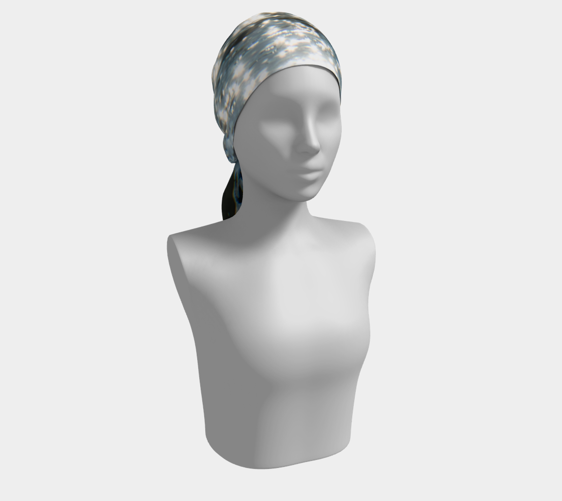 HR00313